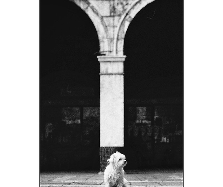 Gallery of photography by Ando Fuchs - Austria