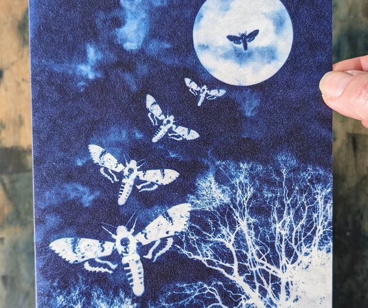 Gallery of Painting & Photography by Jane Constable - UK