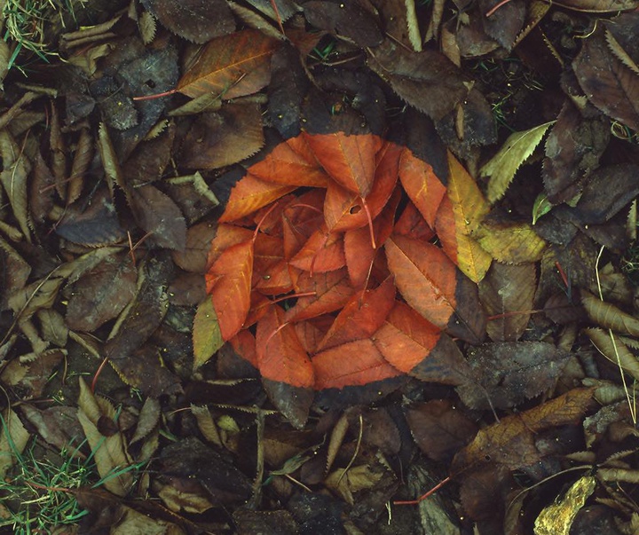 Gallery of Modern Art by Andy Goldsworthy - England