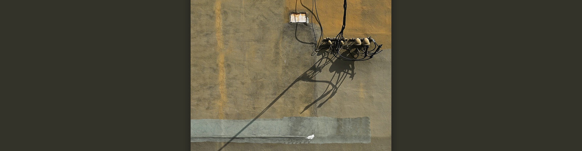 Gallery of Photography by Jim Turner