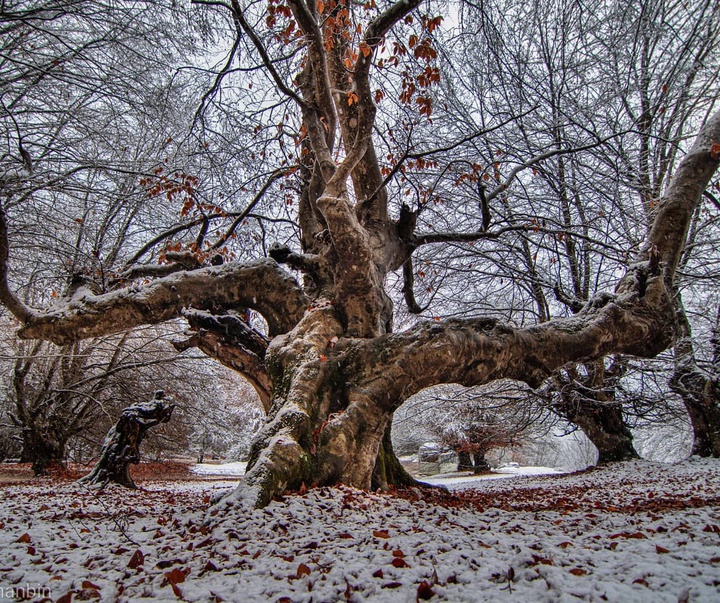 Gallery of Photography by Javad Jahanbin- Iran