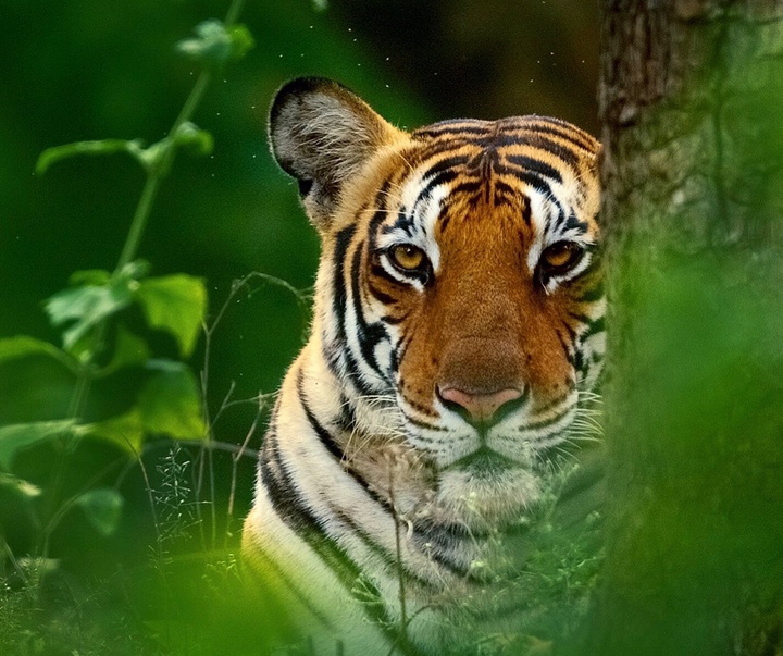 Gallery of Photography by Mithun Hunugund