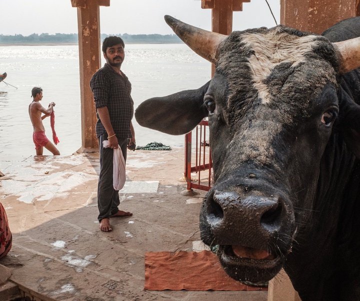 Gallery of Photography by Subhran Karmakar-India