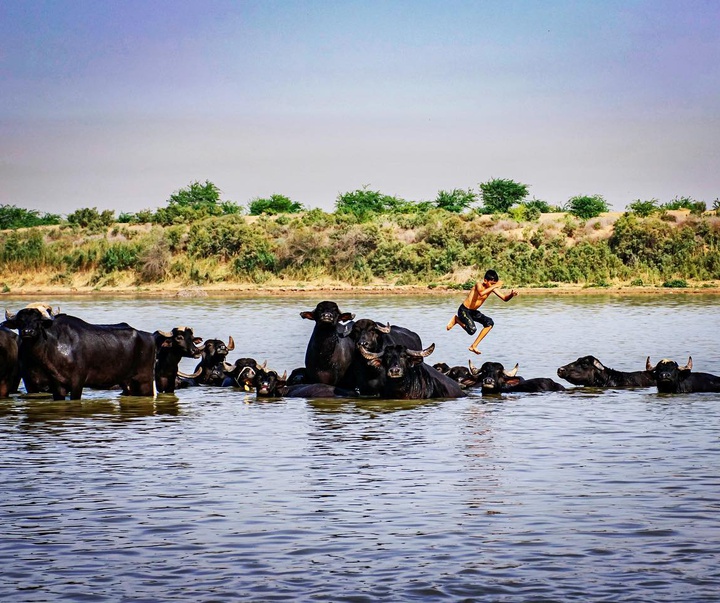 Gallery of Photo by Yasmin Hosseinnejad-Iran