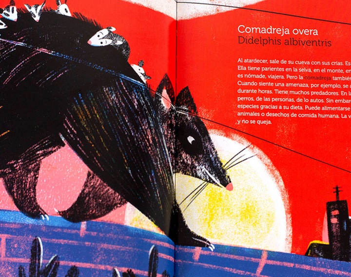 Gallery of Illustration by Cynthia Alonso - Argentina