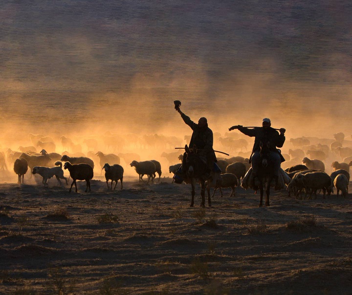 Gallery of photography by Mustafa Shahbaz - Turkey