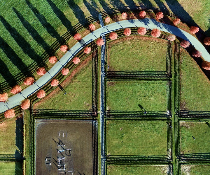 Gallery of Photography by Joanna Steidle - USA