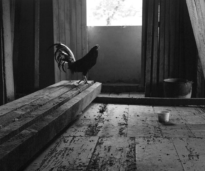 Gallery of Photography by Flor Garduño - Mexico