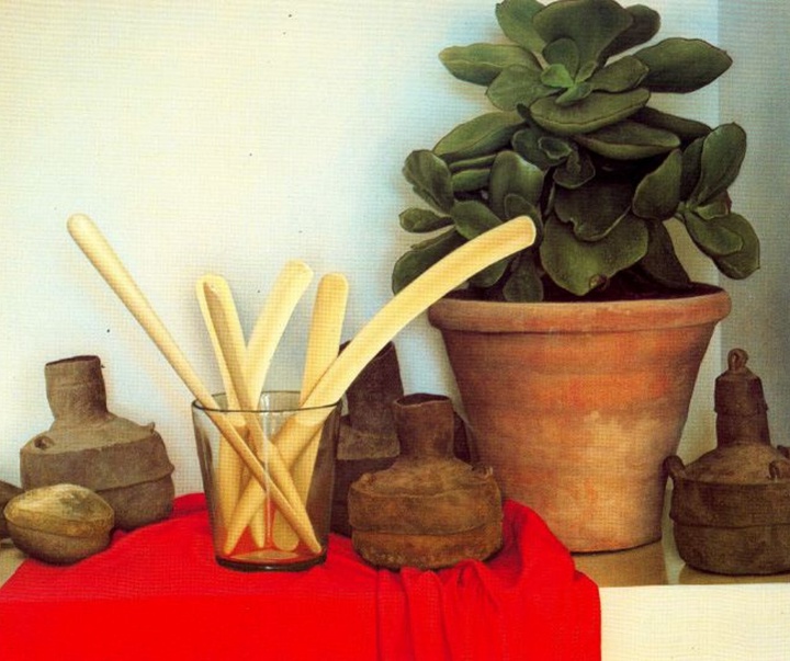 Gallery of Painting by Claudio Bravo - Chile