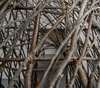 Gallery of Sculpture by Sol Bailey Barker - UK