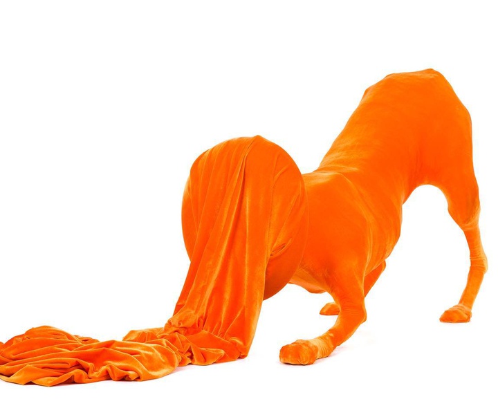 Gallery of Sculpture by Gino Lucas - Belgium