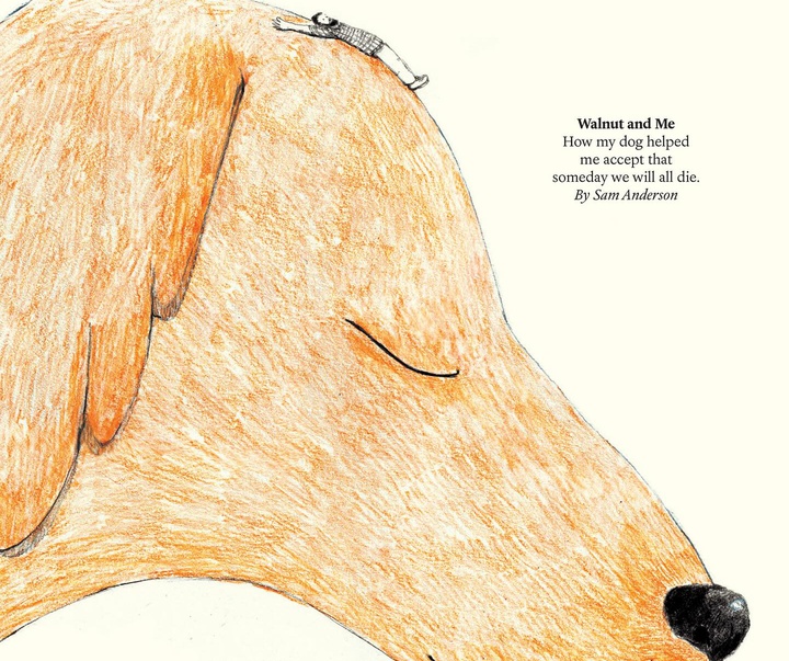 Gallery of Illustration by Gaia Alari (Animator) - Italy