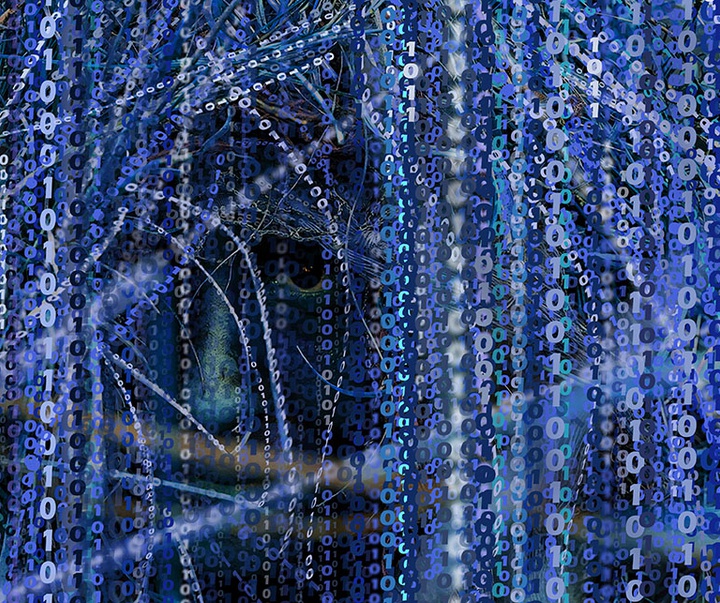 First Selection of the International Cartoon Contest “Terror Online”