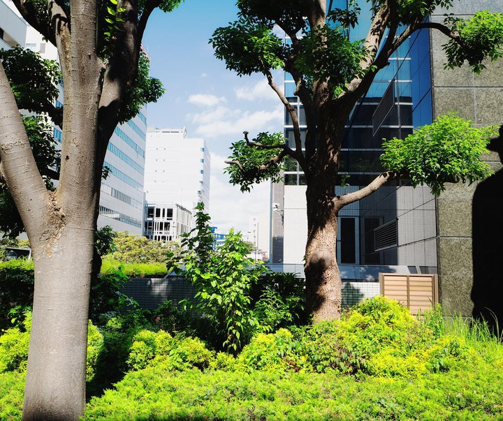 Gallery of Photography by Ulysses Aoki - Japan