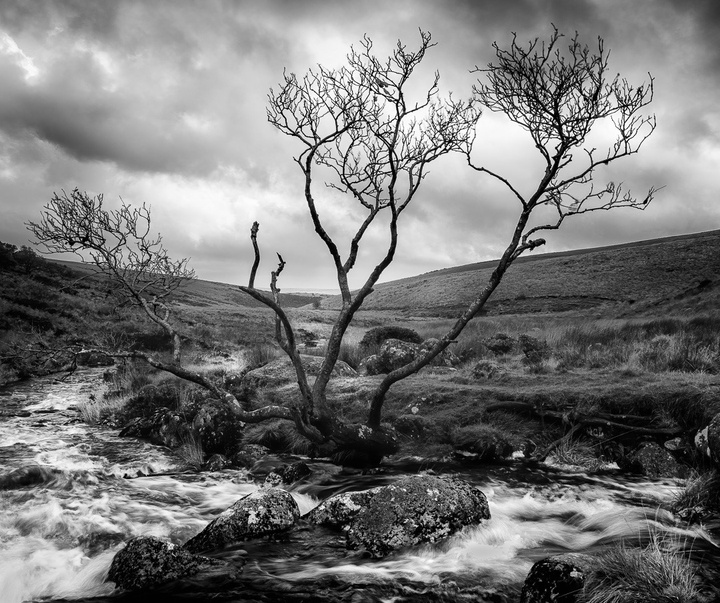 Gallery of photography by G.B. Smith - England