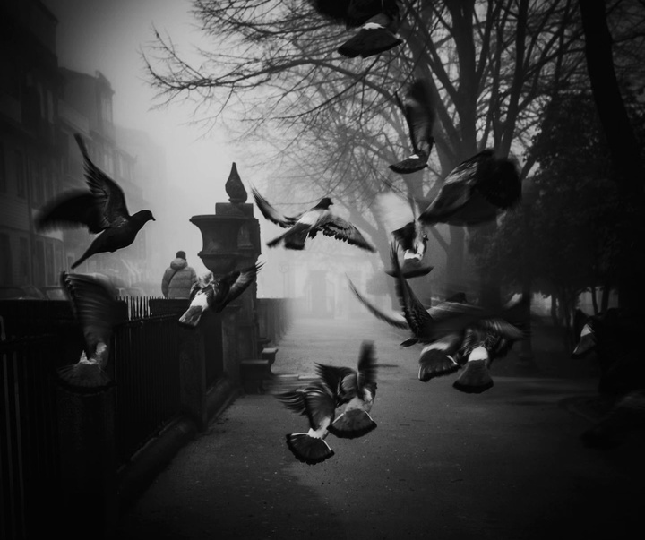 Gallery of Photography by João Cabral - Portugal