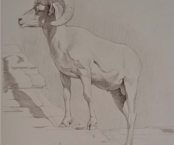 Gallery of Drawing by John Perry Baumlin- American