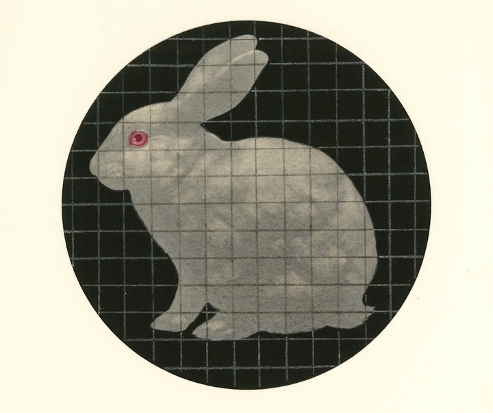 Gallery of Illustration by Edward Kinsella - USA