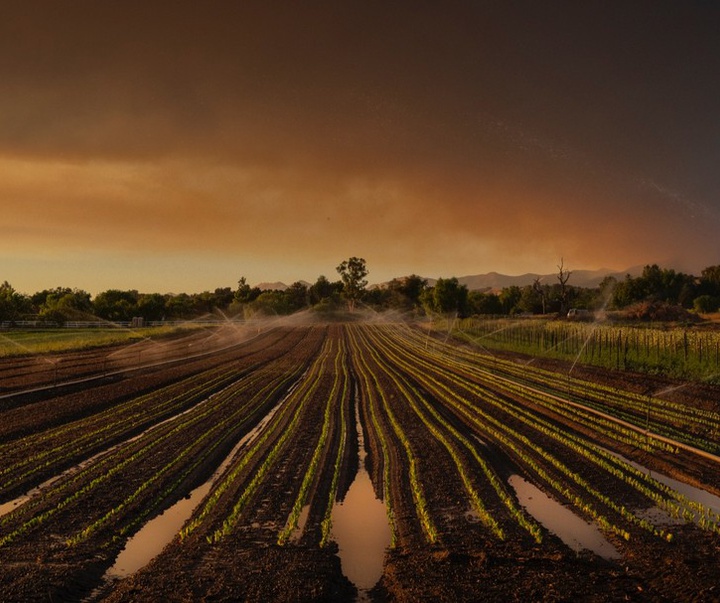 Gallery of Photography by Charlie Hamilton James - UK