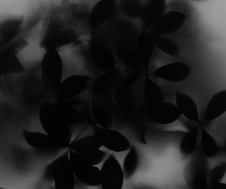Gallery of Photography by Jonas Bjerre-Poulsen - Denmark
