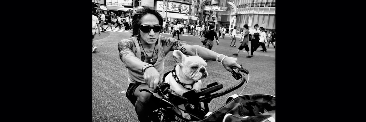 Gallery of Photography by Tatsuo Suzuki - Japan