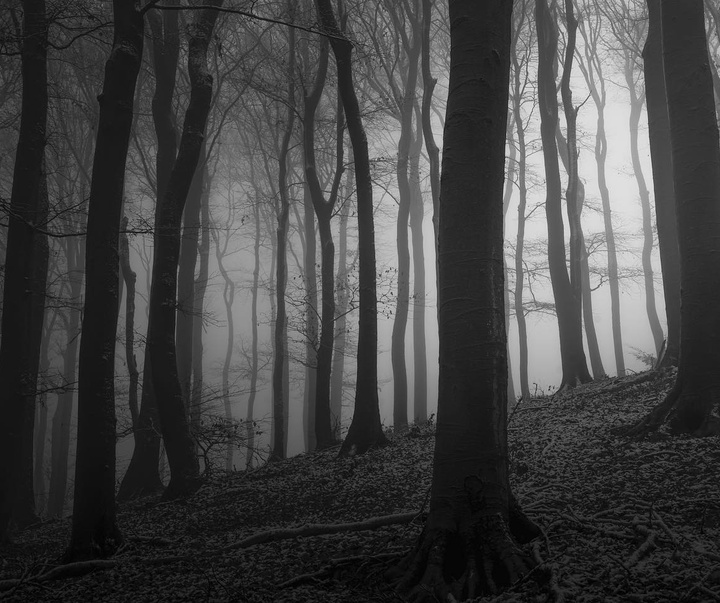 Gallery of photography by Pujan Shadlau - Austria