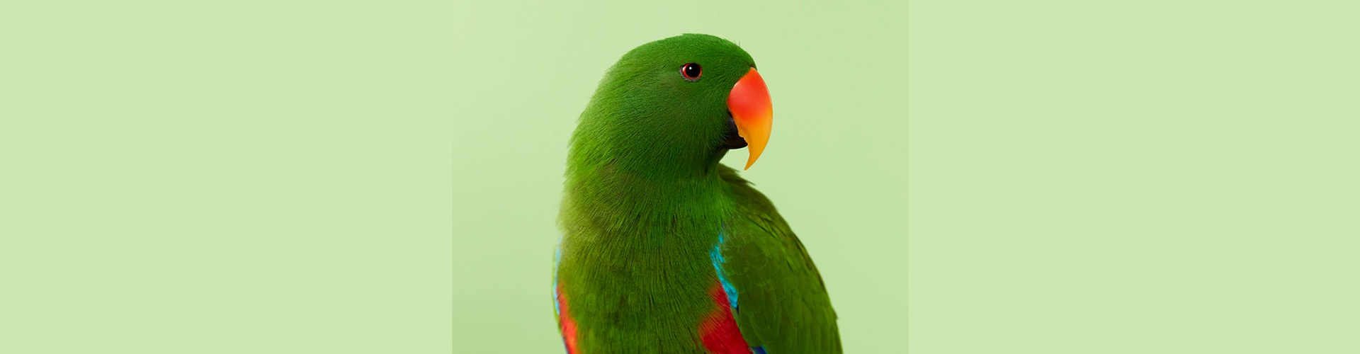 Gallery of Photography by Danny Eastwood - Australia