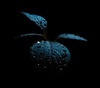 Gallery of Photography by Melanie Wills - Canada