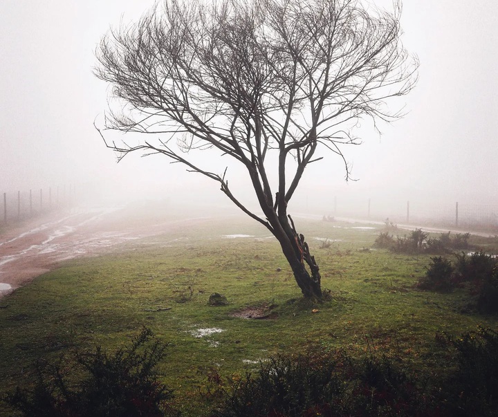 Gallery of Photography by Paulo Alves - Portugal