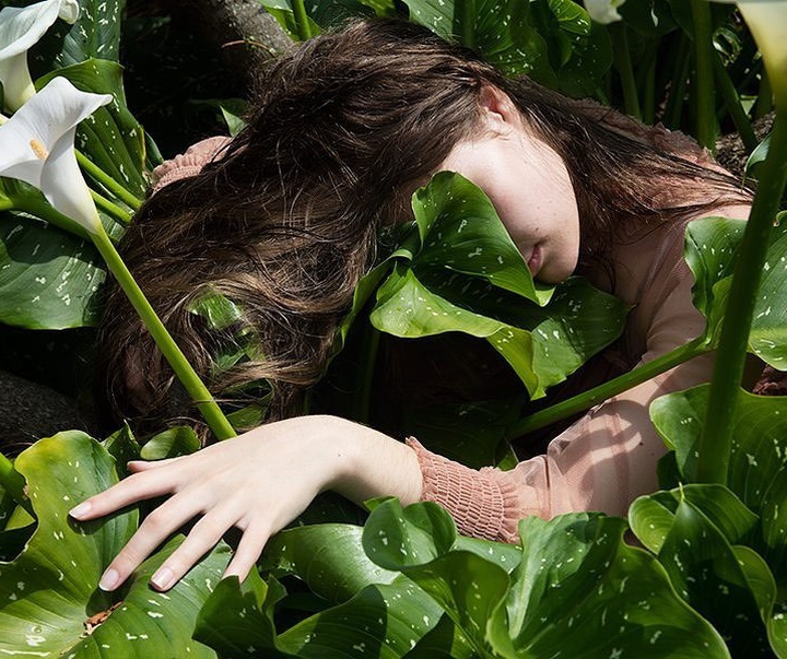 Gallery of Photography by Stefanie Langenhoven - South African