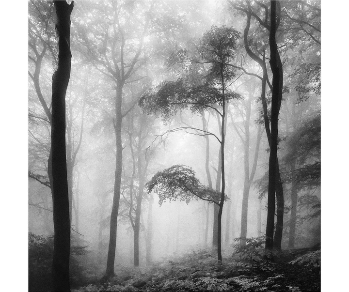Gallery of Photography by Carsten Velten - Germany
