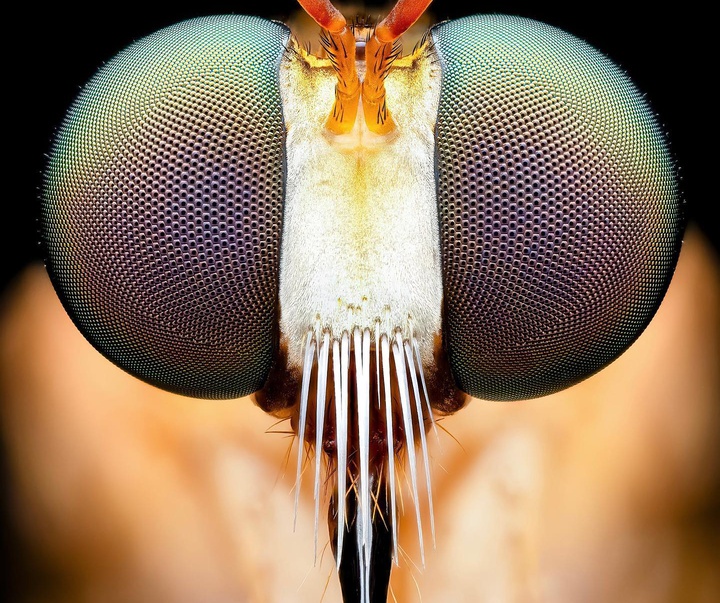 Gallery of Photography by Ben Salb - USA