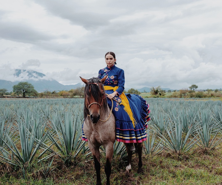 Gallery of Photography by Luisa Dörr - Brazil