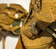 Gallery of Sculpture by Amy Usdin - USA