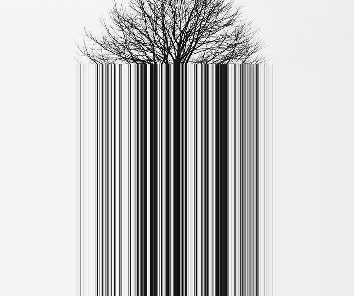 Gallery of Modern Art (Digital Art) by Niall Staines - Ireland