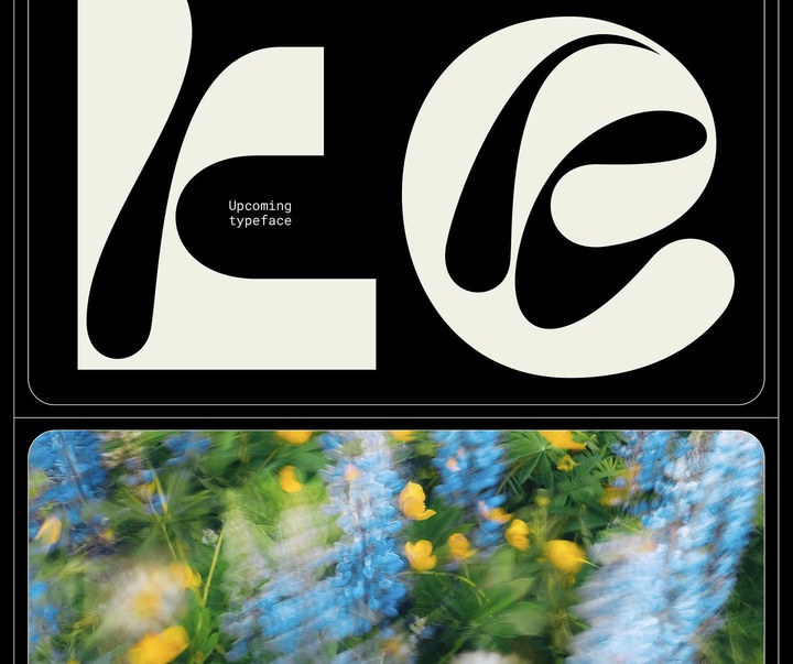 Gallery of Graphics by Barrett Reid - Australia