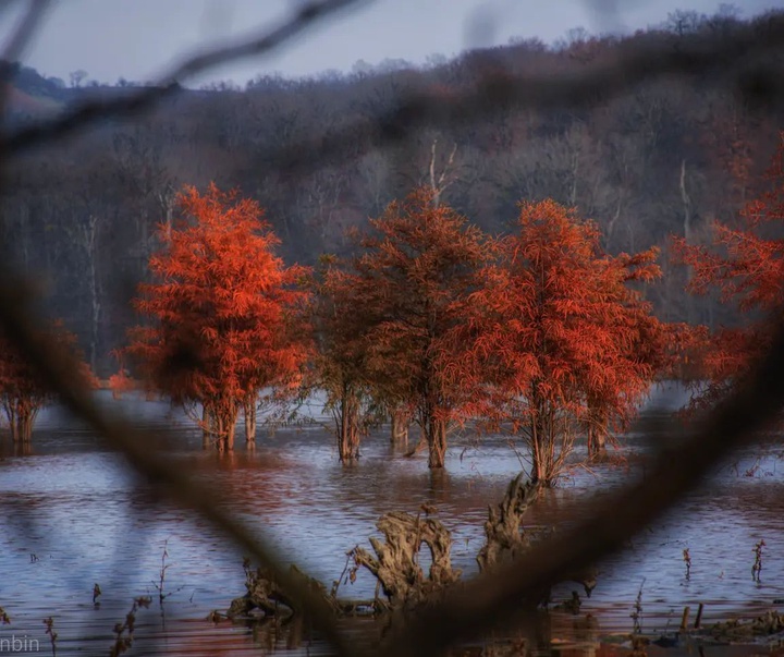 Gallery of Photography by Javad Jahanbin- Iran