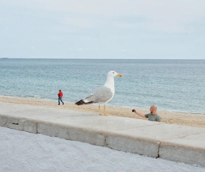 Gallery of Photography by Rúben Rosa - Portugal