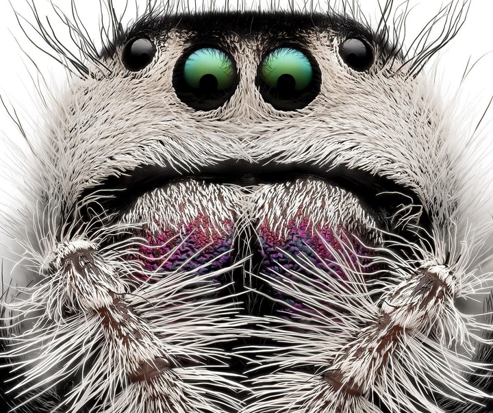 Gallery of Photography by Ben Salb - USA