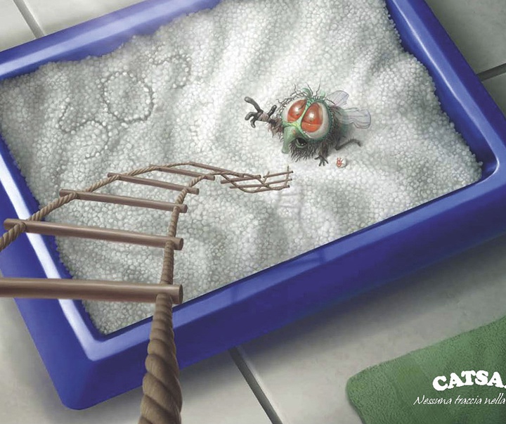 tiago hoisel brazil