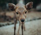 Gallery of Photography by Luke Stackpoole - UK