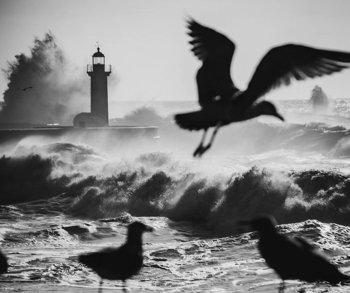 Gallery of Photography by João Cabral - Portugal