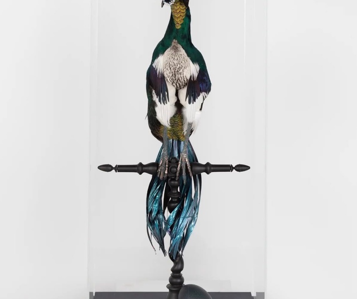 Gallery of Sculpture by Cedric Laquieze - USA