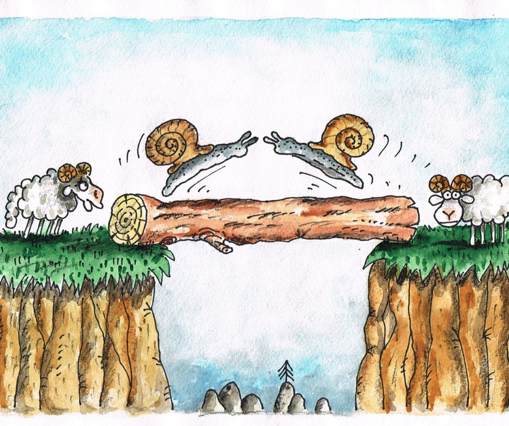 Gallery of Cartoon by Irien Trendafilov - Bulgaria