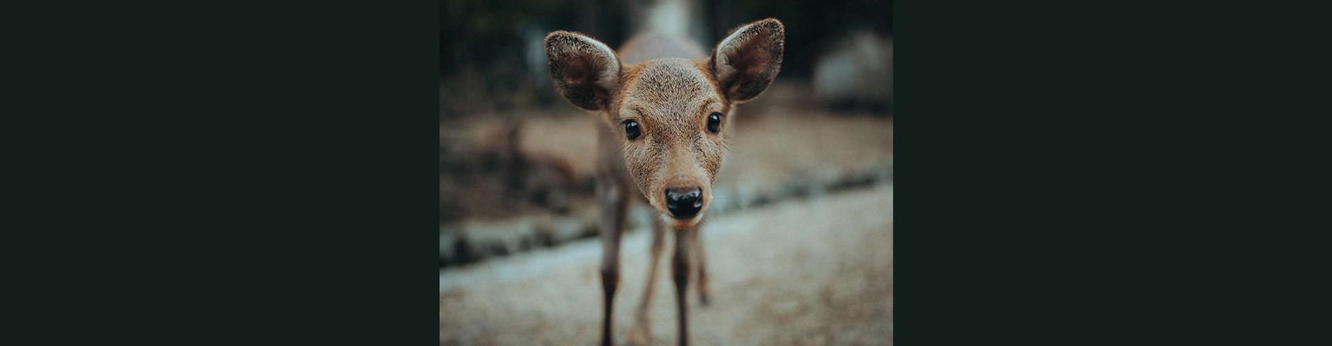 Gallery of Photography by Luke Stackpoole - UK