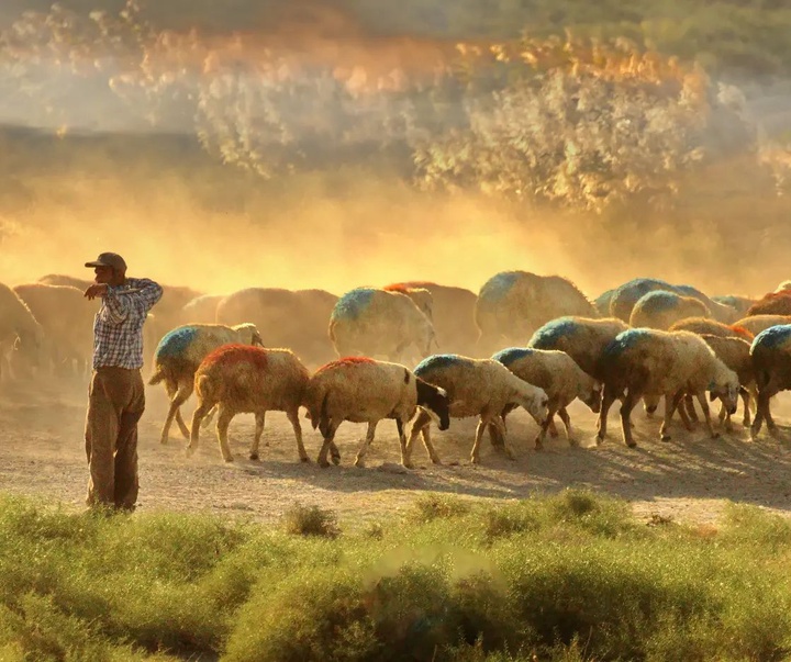 Gallery of photography by Mustafa Shahbaz - Turkey