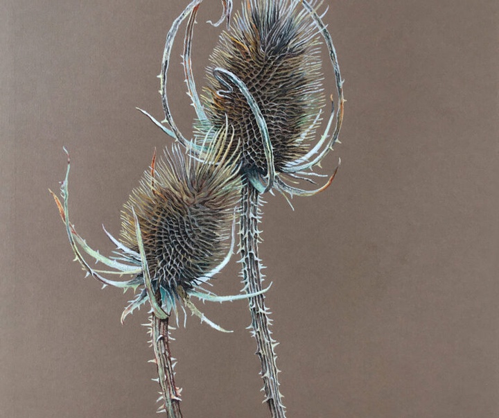 Gallery of Painting & Drawing by Robin Uleman - Netherlands