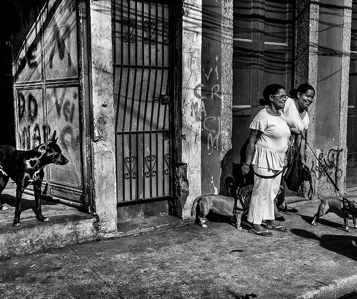 Gallery of photography by Rocha" - Roberto Soares Gomez-Brazil