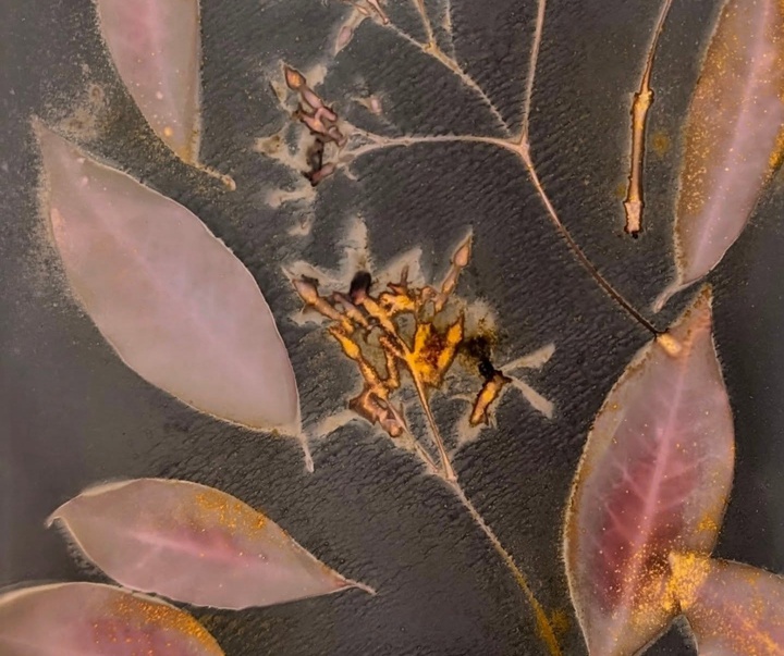 Gallery of Painting & Photography by Jane Constable - UK