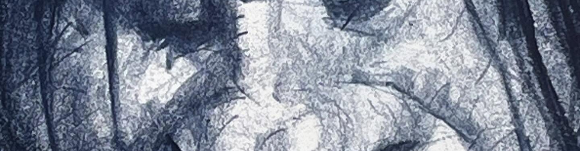 Gallery of drawing and caricature by Thomas Fluharty - USA